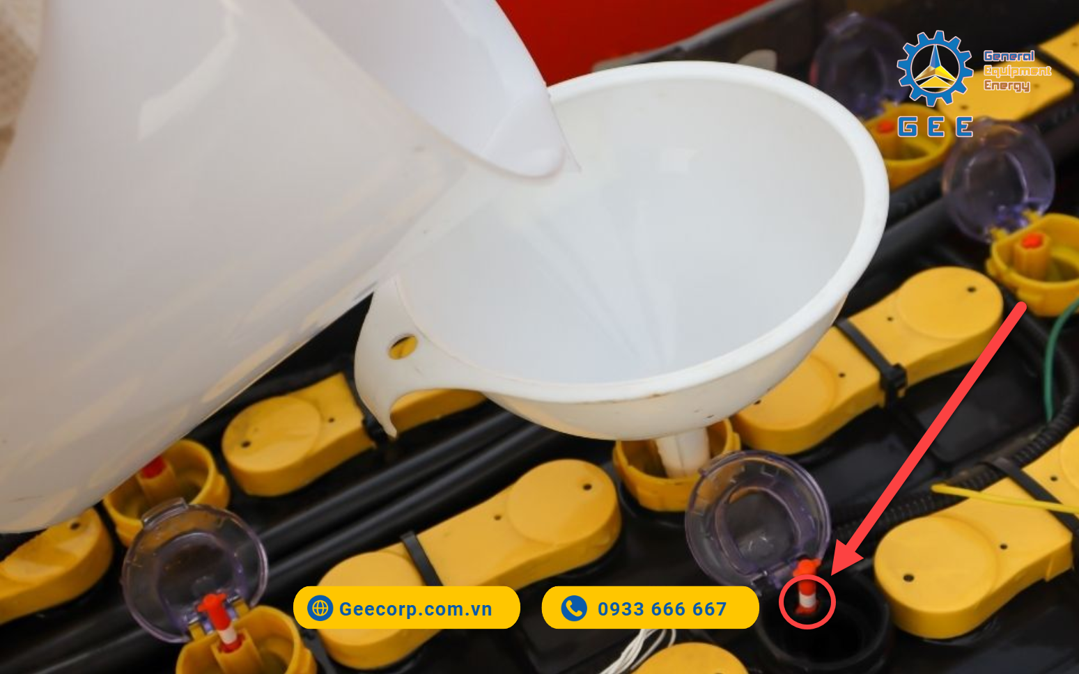 nuoc-cat-cham-binh-ac-quy-xe-nang-dien-co-bao-nhieu-loai-5