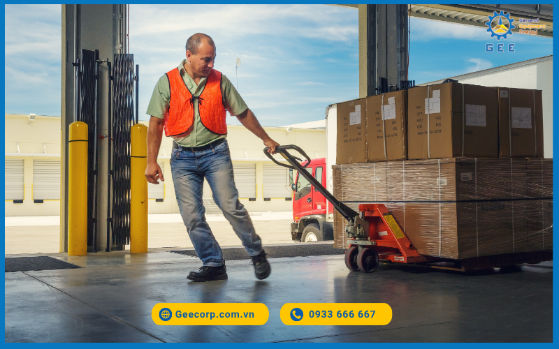 Xe nâng tay thấp đóng vai trò quan trọng trong việc vận chuyển hàng hóa