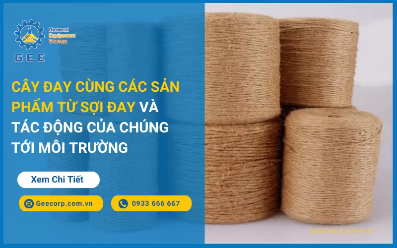 Cây Đay Cùng Các Sản Phẩm Từ Sợi Đay Và Tác Động Của Chúng Đối Với Môi Trường