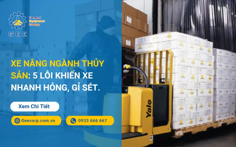Xe Nâng Ngành Thủy Sản: 5 Lỗi Khiến Xe Nhanh Hỏng, Gỉ Sét
