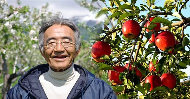 Quả Táo Thần Kỳ Của Kimura - Chương 1